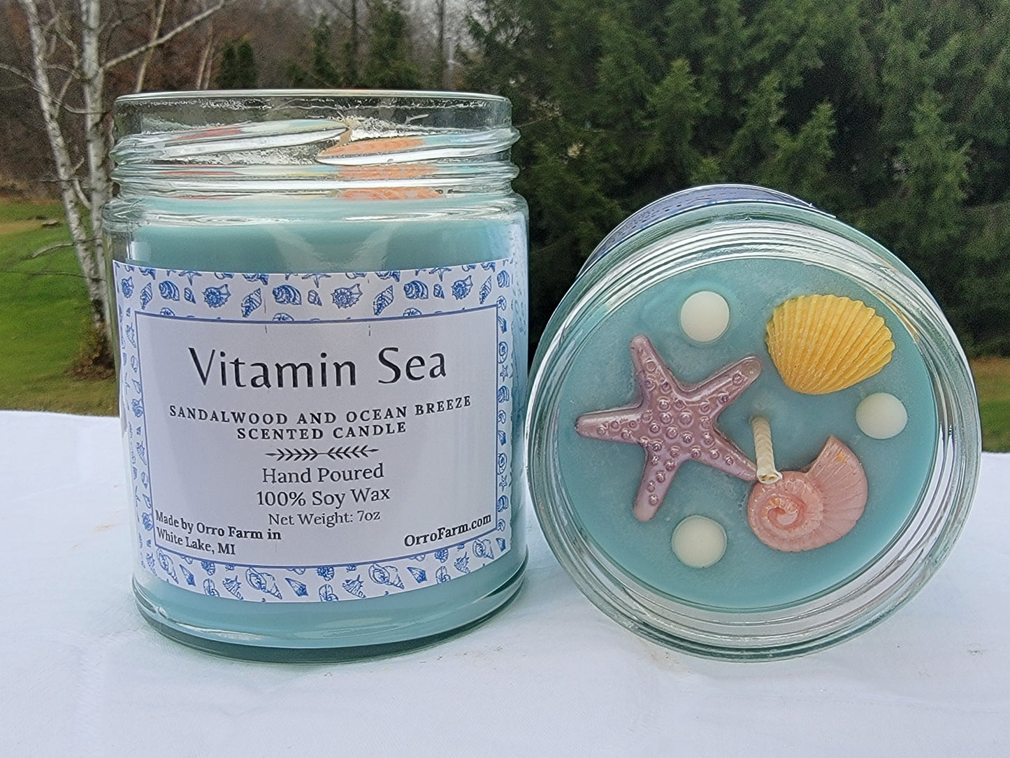 Vitamin Sea Candle