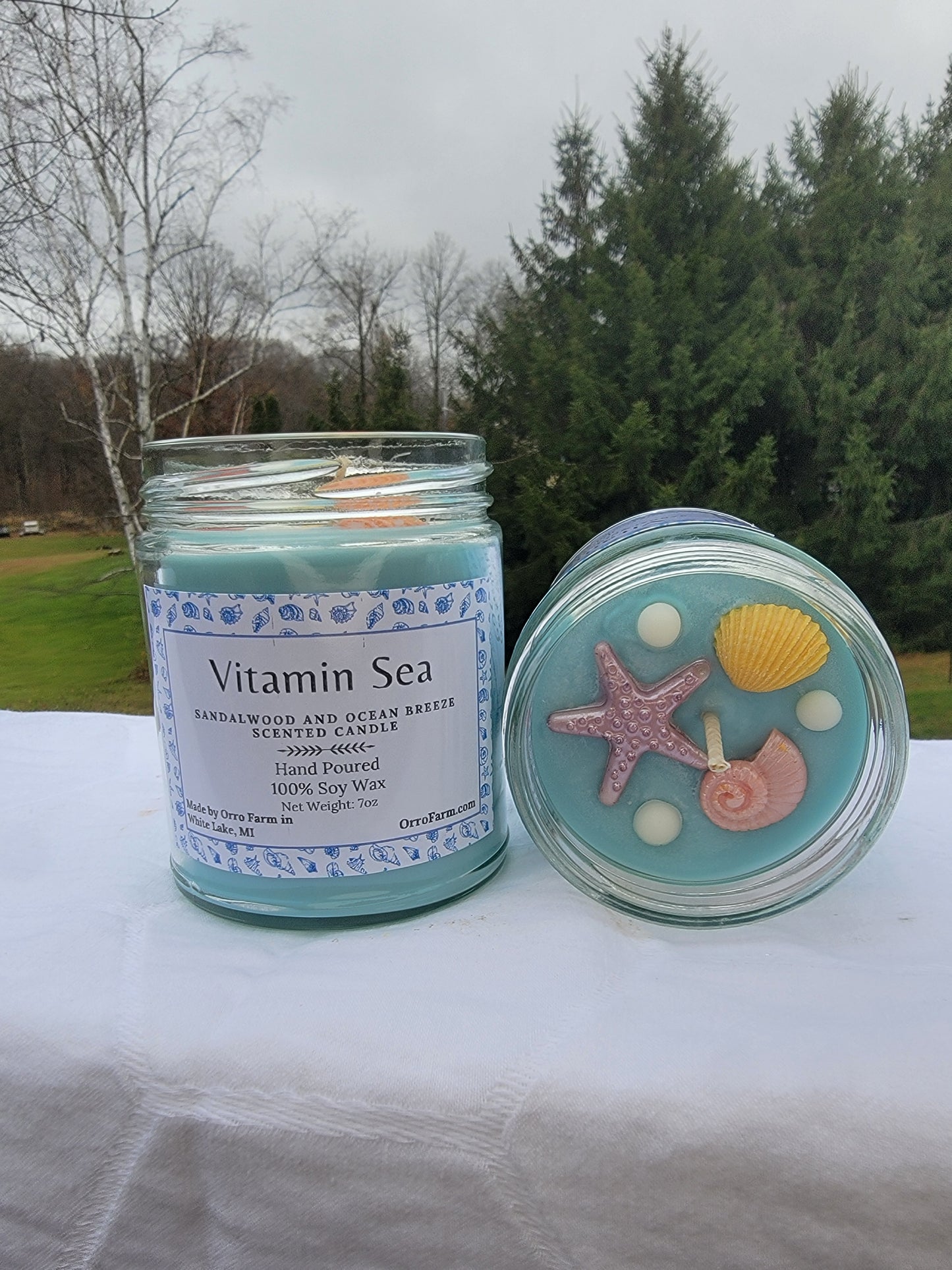 Vitamin Sea Candle