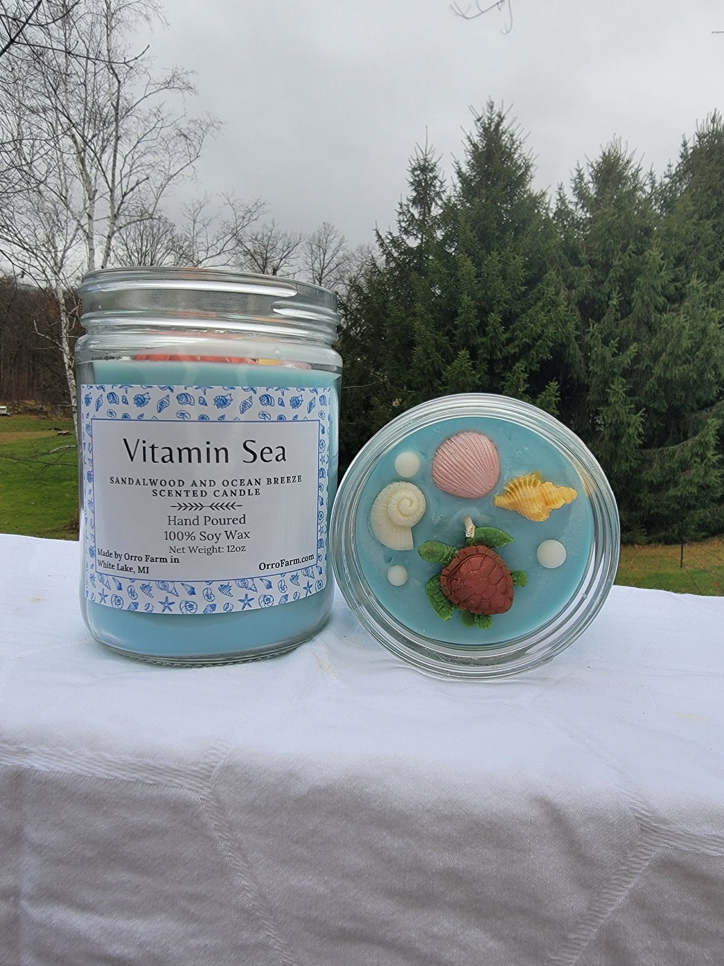 Vitamin Sea Candle