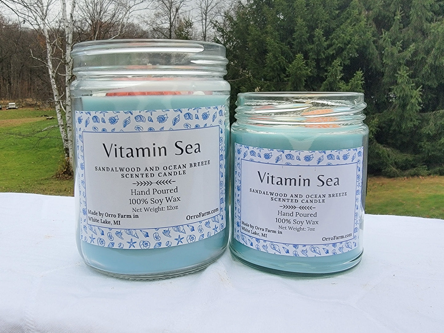 Vitamin Sea Candle