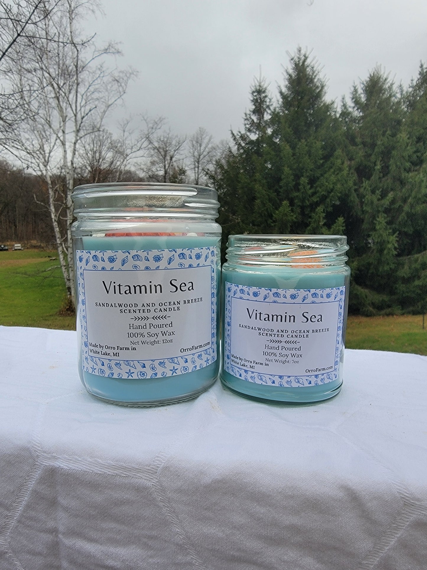 Vitamin Sea Candle