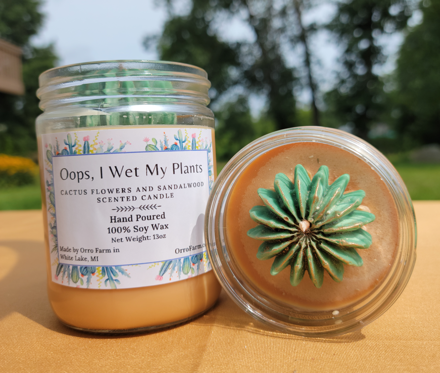 Oops, I Wet My Plants Candle